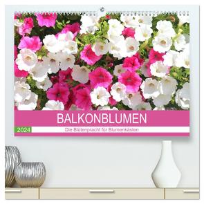 Balkonblumen. Die Blütenpracht für Blumenkästen (hochwertiger Premium Wandkalender 2024 DIN A2 quer), Kunstdruck in Hochglanz von Hurley,  Rose