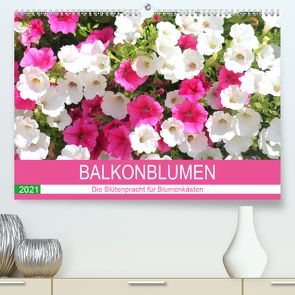 Balkonblumen. Die Blütenpracht für Blumenkästen (Premium, hochwertiger DIN A2 Wandkalender 2021, Kunstdruck in Hochglanz) von Hurley,  Rose