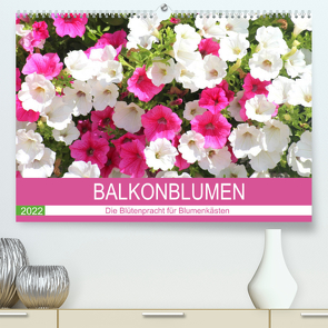 Balkonblumen. Die Blütenpracht für Blumenkästen (Premium, hochwertiger DIN A2 Wandkalender 2022, Kunstdruck in Hochglanz) von Hurley,  Rose