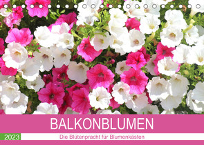 Balkonblumen. Die Blütenpracht für Blumenkästen (Tischkalender 2023 DIN A5 quer) von Hurley,  Rose