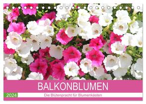 Balkonblumen. Die Blütenpracht für Blumenkästen (Tischkalender 2024 DIN A5 quer), CALVENDO Monatskalender von Hurley,  Rose