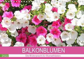 Balkonblumen. Die Blütenpracht für Blumenkästen (Wandkalender 2022 DIN A4 quer) von Hurley,  Rose