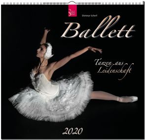 Ballett – Tanzen aus Leidenschaft von Scherf,  Dietmar