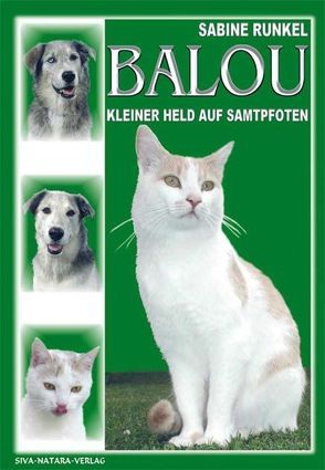 Balou – Kleiner Held auf Samtpfoten von Runkel,  Sabine