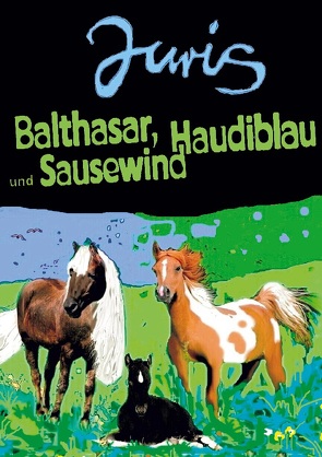Balthasar, Haudiblau und Sausewind von Juris,  Günther