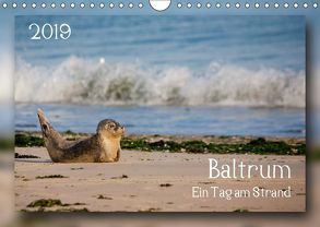 Baltrum – Ein Tag am Strand (Wandkalender 2019 DIN A4 quer) von Heizmann bildkunschd,  Thomas