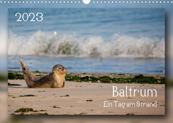 Baltrum – Ein Tag am Strand (Wandkalender 2023 DIN A3 quer) von Heizmann bildkunschd,  Thomas