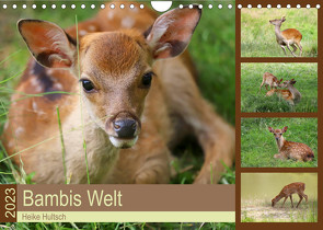 Bambis Welt (Wandkalender 2023 DIN A4 quer) von Hultsch,  Heike