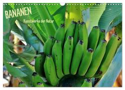 Bananen (Wandkalender 2024 DIN A3 quer), CALVENDO Monatskalender von Ganz,  Andrea