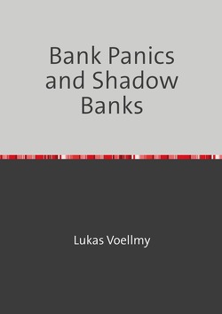 Bank Panics and Shadow Banks von Voellmy,  Lukas