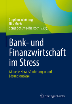 Bank- und Finanzwirtschaft im Stress von Moch,  Nils, Schöning,  Stephan, Schütte-Biastoch,  Sonja
