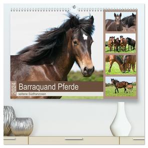 Barraquand Pferde – seltene Südfranzosen (hochwertiger Premium Wandkalender 2024 DIN A2 quer), Kunstdruck in Hochglanz von Bölts,  Meike