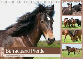 Barraquand Pferde – seltene Südfranzosen (Tischkalender 2019 DIN A5 quer) von Bölts,  Meike