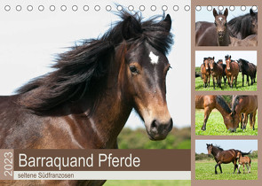Barraquand Pferde – seltene Südfranzosen (Tischkalender 2023 DIN A5 quer) von Bölts,  Meike