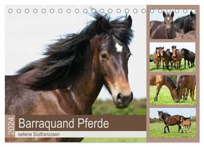 Barraquand Pferde – seltene Südfranzosen (Tischkalender 2024 DIN A5 quer), CALVENDO Monatskalender von Bölts,  Meike