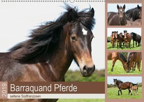 Barraquand Pferde – seltene Südfranzosen (Wandkalender 2019 DIN A2 quer) von Bölts,  Meike
