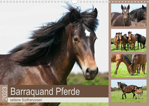 Barraquand Pferde – seltene Südfranzosen (Wandkalender 2023 DIN A3 quer) von Bölts,  Meike