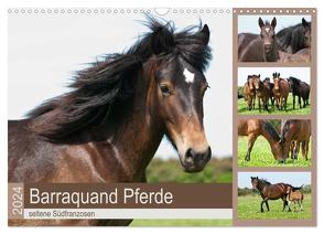 Barraquand Pferde – seltene Südfranzosen (Wandkalender 2024 DIN A3 quer), CALVENDO Monatskalender von Bölts,  Meike