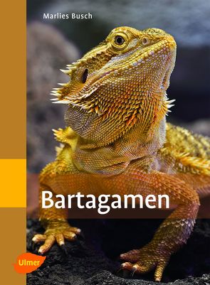 Bartagamen von Busch,  Marlies