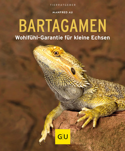 Bartagamen von Au,  Manfred