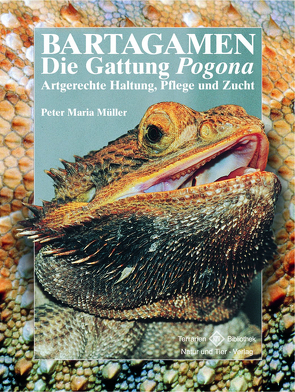 Bartagamen – Die Gattung Pogona von Müller,  Peter-Maria