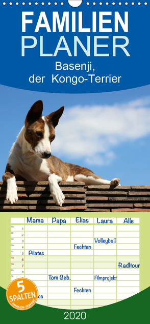 Basenji, der Kongo-Terrier – Familienplaner hoch (Wandkalender 2020 , 21 cm x 45 cm, hoch) von Wobst,  Petra