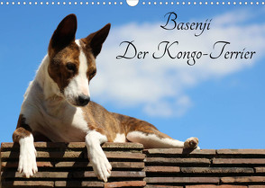 Basenji, der Kongo-Terrier (Wandkalender 2022 DIN A3 quer) von Wobst,  Petra
