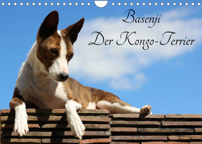 Basenji, der Kongo-Terrier (Wandkalender 2022 DIN A4 quer) von Wobst,  Petra