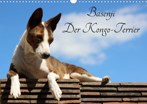 Basenji, der Kongo-Terrier (Wandkalender 2023 DIN A3 quer) von Wobst,  Petra