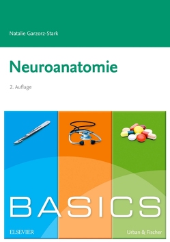 Basics Neuroanatomie von Garzorz-Stark,  Natalie
