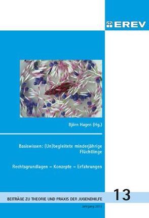 Basiswissen: (Un)begleitete minderjährige Flüchtlinge von Hagen,  Björn