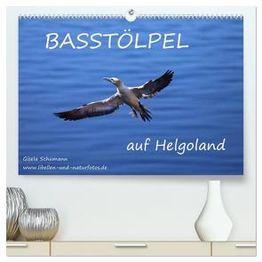 Basstölpel auf Helgoland (hochwertiger Premium Wandkalender 2024 DIN A2 quer), Kunstdruck in Hochglanz von Schuemann,  Gisela