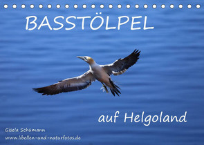 Basstölpel auf Helgoland (Tischkalender 2023 DIN A5 quer) von Schuemann,  Gisela