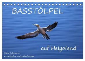 Basstölpel auf Helgoland (Tischkalender 2024 DIN A5 quer), CALVENDO Monatskalender von Schuemann,  Gisela