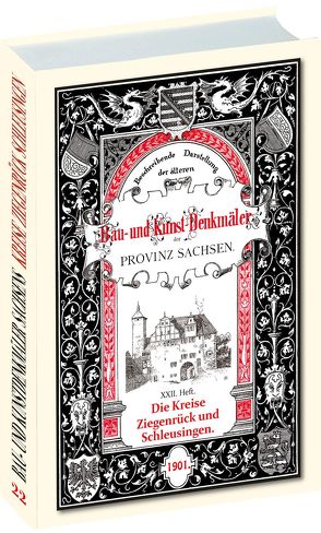 Bau- und Kunstdenkmäler der Kreise SCHLEUSINGEN und ZIEGENRÜCK 1901 von Bergner,  Dr. Heinrich
