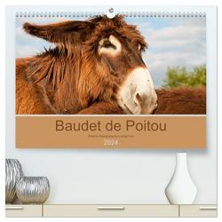 Baudet de Poitou – Seltene französische Langohren (hochwertiger Premium Wandkalender 2024 DIN A2 quer), Kunstdruck in Hochglanz von Bölts,  Meike