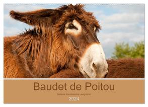 Baudet de Poitou – Seltene französische Langohren (Wandkalender 2024 DIN A2 quer), CALVENDO Monatskalender von Bölts,  Meike