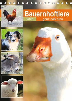 Bauernhoftiere, ganz nah dran (Tischkalender 2023 DIN A5 hoch) von N.,  N.