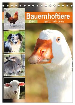Bauernhoftiere, ganz nah dran (Tischkalender 2024 DIN A5 hoch), CALVENDO Monatskalender