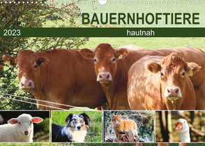 Bauernhoftiere hautnah (Wandkalender 2023 DIN A3 quer) von Löwer,  Sabine