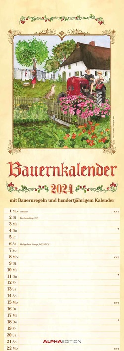 Bauernkalender 2024 – Streifen-Kalender 15×42 cm – mit 100-jährigem Kalender und Bauernregeln – Wandplaner – Küchenkalender – Alpha Edition