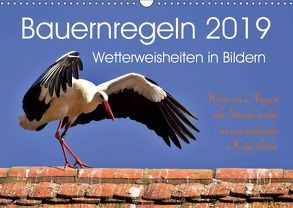 Bauernregeln 2019. Wetterweisheiten in Bildern (Wandkalender 2019 DIN A3 quer) von Lehmann,  Steffani