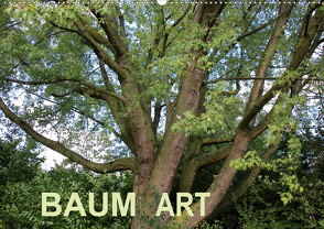 Baum Art (Wandkalender 2021 DIN A2 quer) von Ganz,  Andrea
