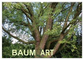 Baum Art (Wandkalender 2024 DIN A2 quer), CALVENDO Monatskalender von Ganz,  Andrea