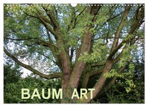 Baum Art (Wandkalender 2024 DIN A3 quer), CALVENDO Monatskalender von Ganz,  Andrea