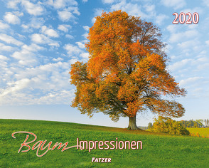 Baum-Impressionen 2020