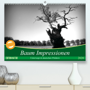 Baum Impressionen (Premium, hochwertiger DIN A2 Wandkalender 2020, Kunstdruck in Hochglanz) von Heinemann,  Holger