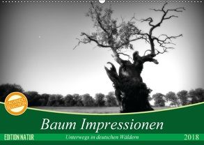 Baum Impressionen (Wandkalender 2018 DIN A2 quer) von Heinemann,  Holger