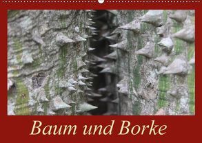 Baum und Borke (Wandkalender 2018 DIN A2 quer) von Schneider,  Bettina