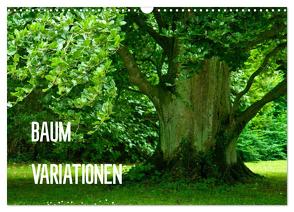 Baum-Variationen (Wandkalender 2024 DIN A3 quer), CALVENDO Monatskalender von Barig,  Joachim